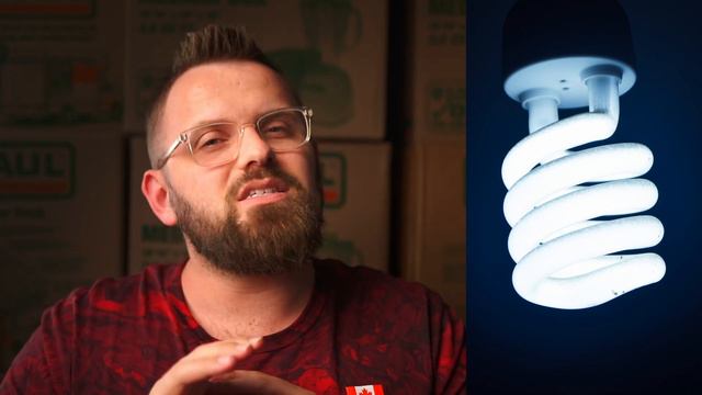 This Is Why You Should Paint Your House Dorian Gray! смотреть онлайн