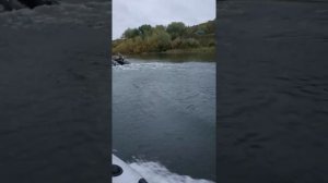 Меркурий 3.3 Таймень 320 два человека и шмурдяк