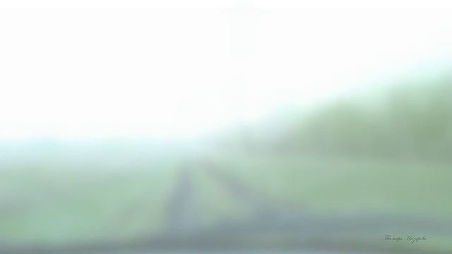 САМАРА. Дачные грядки мои, 4 серия. Груша расцвела. смотреть онлайн