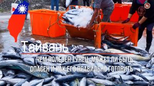 Чем полезен тунец, может ли быть опасен и как его правильно готовить / СербаТВ 🔴