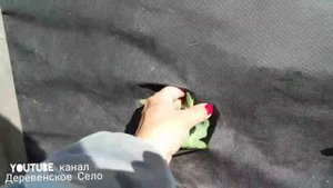 Весь огород на чёрном укрывном материале.нет сорнякам!!