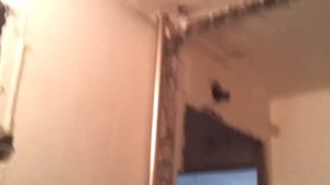 Замена стояков гвс и хвс на нержавейку.