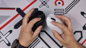Darmoshark M3. Finalmouse за 4к