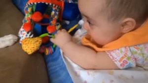 Маленькие дети играют с маленькими щенками