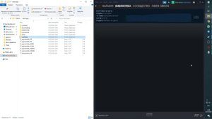 Отсутствую загруженные файлы Workshop Dota 2