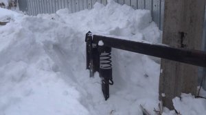 Дровокол. Колун пружинный. Колем дубовые чурки