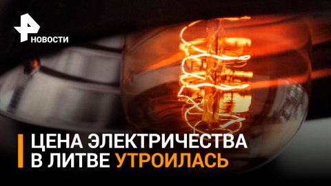 Цена на электричество в Литве утроилась: жители пилят скамейки на дрова / РЕН Новости