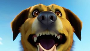 Детская сказка Пес чашечка и большая прогулка