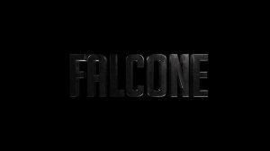 Intro Falcone FG