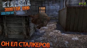 ОН ЕЛ СТАЛКЕРОВ | S.T.A.L.K.E.R. ЗОЛОТОЙ ШАР ЗАВЕРШЕНИЕ | Серия 58