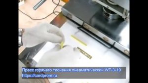 Пресс горячего тиснения пневматический WT-3-19
