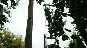 Лучший инсектицид против тли.