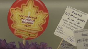 Осенняя выставка фиалок в Москве Дом фиалки 22/10/2017