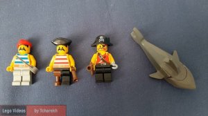 Lego 6261 - a short review and alt models' building epilogue