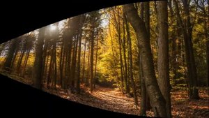 И Штраус Сказки венского леса Strauss Tales of the Vienna Woods