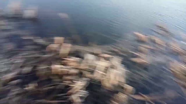 СЪЕЗДИЛ НА РЕЧКУ | НА РЕЧКУ НА БЕШЕНОМ МУРАВЬЕ! смотреть онлайн