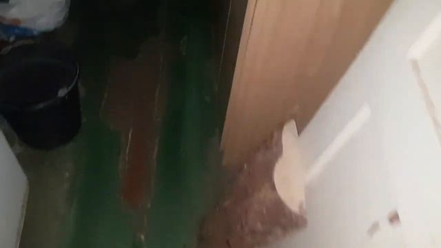 ЛОВЛЯ ТАРАКАНОВ НА ПРИМАНКУ. БОРЬБА С ТАРАКАНАМИ