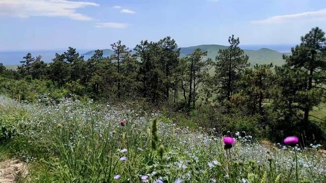 Крым? Орджоникидзе 27.05.2022 смотреть онлайн