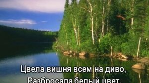 Волга-реченька глубока - Ткаченко Нинель_With lyrics