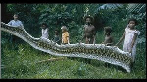 самые необыкновенные животные (unusual animals)