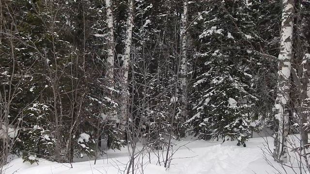 следы на снегу смотреть онлайн