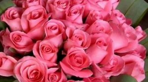 Цветы без повода самые желанные - Ирина Алегрова.