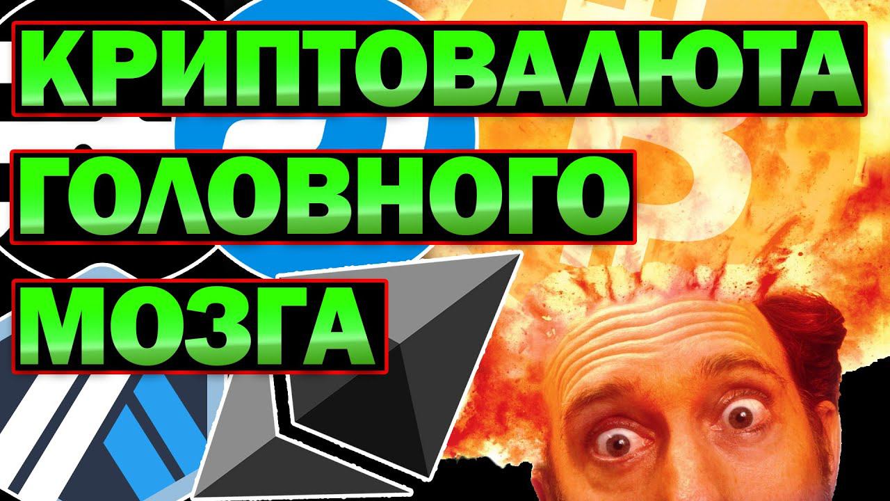 Криптовалюта головного мозга. Когда альтсезон? Как не потерять деньги на бычьем рынке? Секреты.