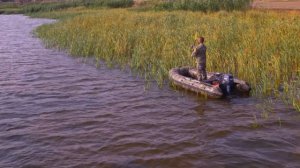 Пеликан 320СК Камуфляж (Гавиал)