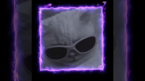Белая ночь (speed up)