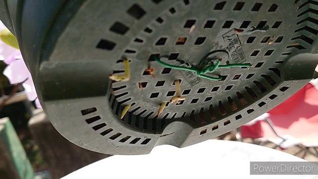 Guarianthe( Cattleya) skinneri coerulescens ‘Orchidglade’ グアリアンセ(旧カトレア) スキンネリ смотреть онлайн