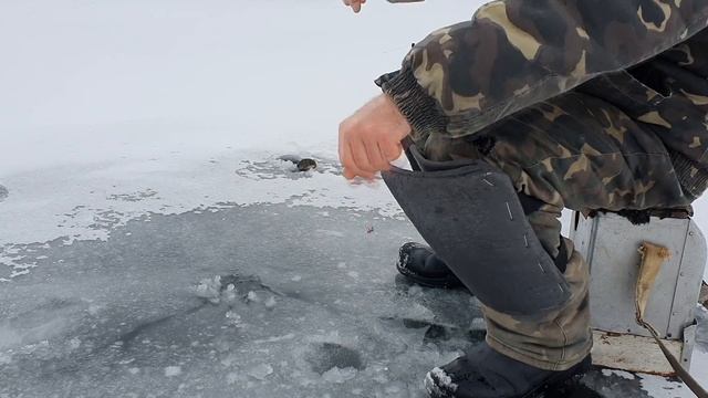 Перволедка. Ловлю между промоин. Окунь на кивок и щука на жерлицы смотреть онлайн