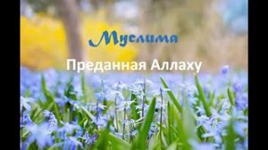 Мусульманские имена для девочек