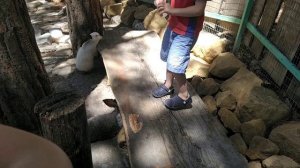 Поездка на МОРЕ в 2024 году на машине ч.4