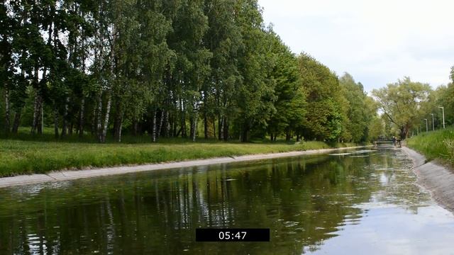 ТЁЩА И ЗЯТЬ – ПРИКРЫВАЛА ДОЧЬ. Реальные истории из жизни. Интересные рассказы про тещу смотреть онлайн