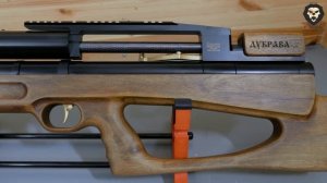 Пневматическая винтовка Дубрава Лесник V4 Bullpup 5.5 мм (450 мм, Орех) видео обзор 4k
