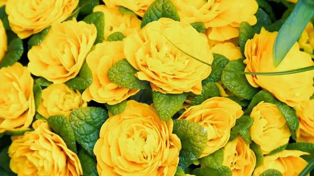 ☦️ 16.02.24 г Евангелие; Апостол; Церковный календарь с толкованием Слава Богу за Всё! ☦️ смотреть онлайн