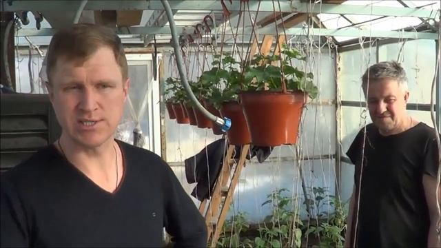 БТЧ6 смотреть онлайн