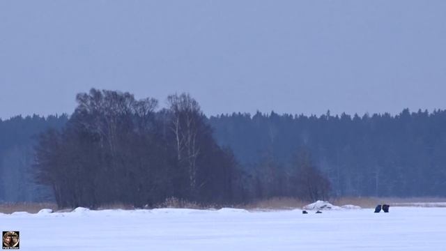 Зимняя рыбалка в Высоцке 02-2023 #зимняяловлярыбы #высоцк #нарыбалке #рыбалка2023 #winterfishing