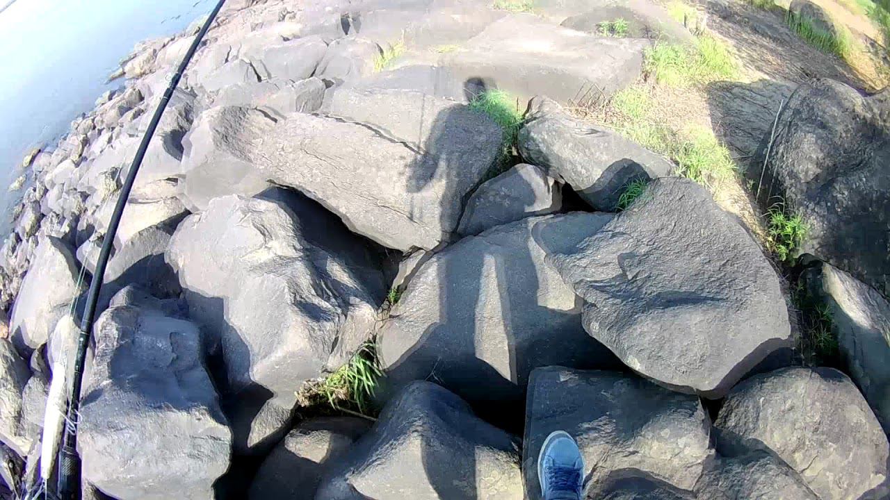 Амурские петроглифы Сикачи-Аляна.