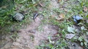 Ловля рака на раколовку книжка и пирамида