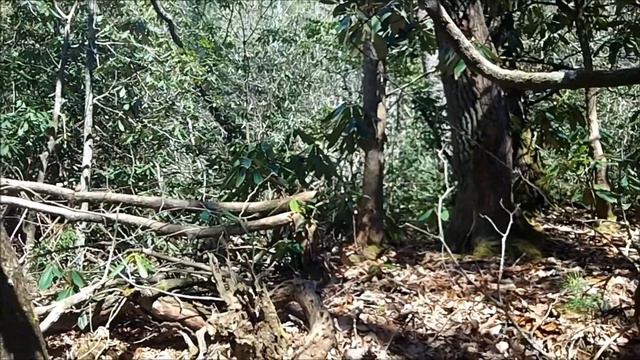 Secret Location March 21, 2015 смотреть онлайн