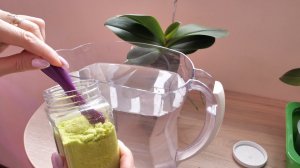 "Полив С УДОБРЕНИЯМИ или БЕЗ" Что? КОГДА? Почему? ОБЪЯСНИТЕ!!! ПОКАЖУ, СМОТРИМ.