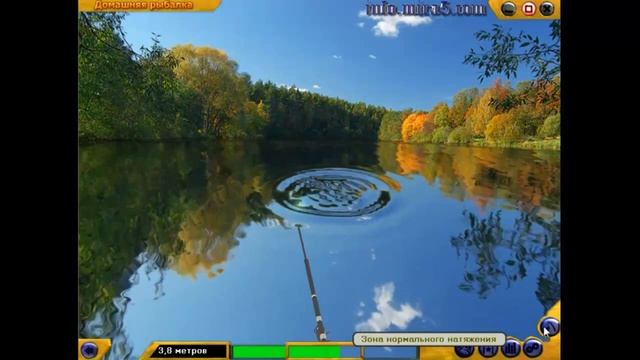 Рыбалка не выходя из дома ׃) смотреть онлайн