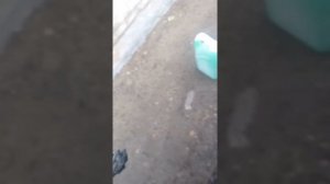 Установка подогрева двигателя лунфей на фольксваген т4