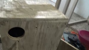 Гнездовой домик для карелл. Размеры и фасон.