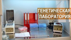 Лаборатория молекулярно-генетической диагностики и ПЦР анализа. Поволжский ГНУ НИИММП