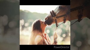 Майтай Зимние сны