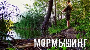 КАРАСЬ НА ВЕЧЕРНЕЙ ЗОРЬКЕ! МОРМЫШИНГ