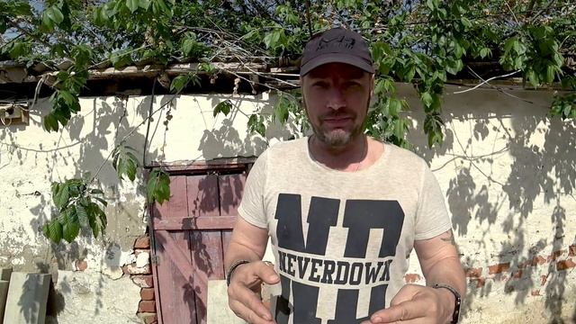 Иришку в больницу. О закрытии канала, и куда девать кроликов