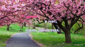 Один раз в год сады цветут Анна Герман караоке